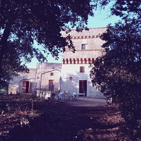 Apartment Torre